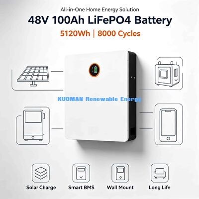 48V Duvara Monte Lityum Batarya Opsiyonel Bluetooth Mobil Uygulama SOC Sıcaklık Veri Monitörü