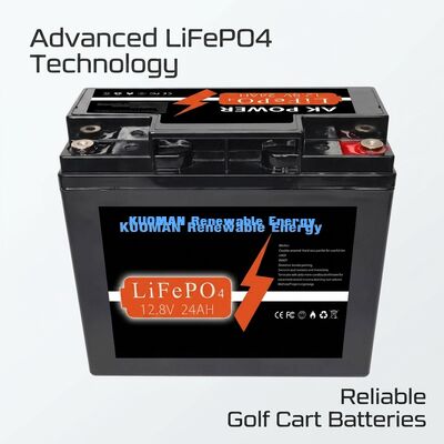 12V 24Ah LiFePO4 Bataryası, 307.2Wh Enerji ve Derin Döngü Uygulamaları için ABS Kasa Malzemesi